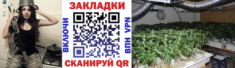Где продают наркотики Покачи Конопля  МЕФ  COCAIN  Гашиш 