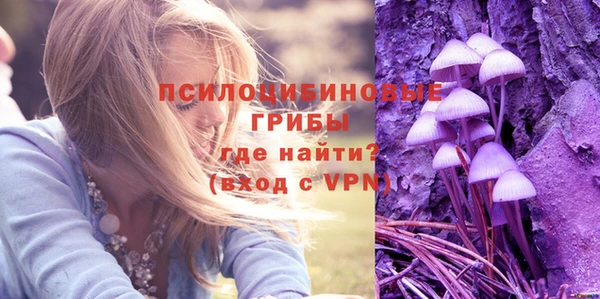 бутират Пересвет
