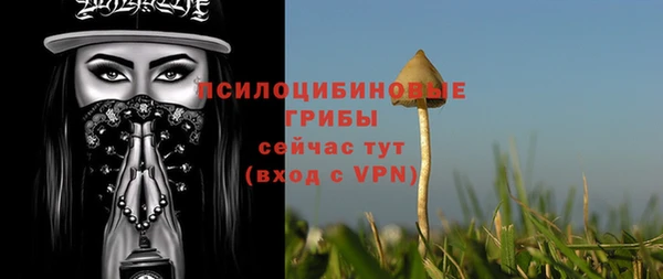 ПСИЛОЦИБИНОВЫЕ ГРИБЫ Пестово