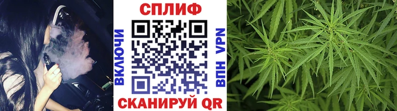 наркошоп Покачи Каннабис White Widow